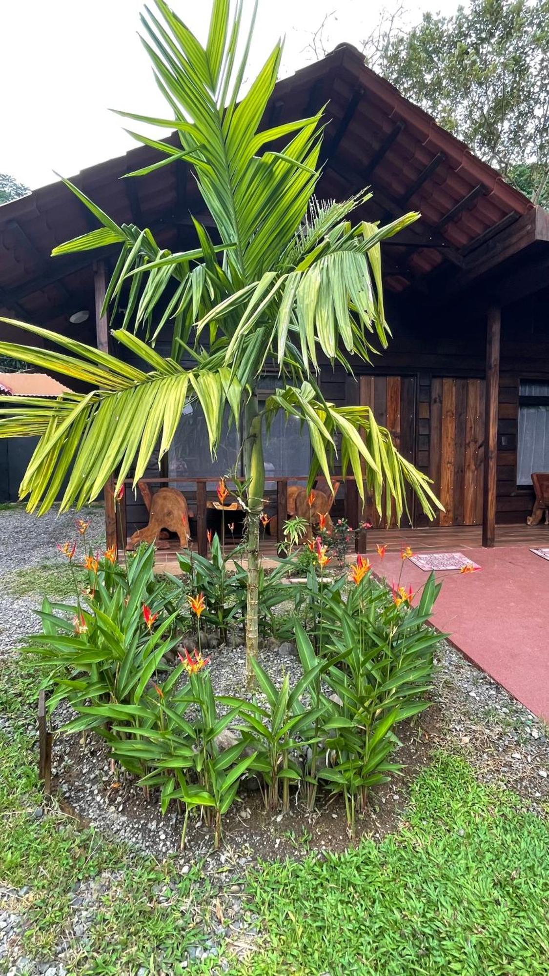 La Fortuna Waterfall Bungalows Dış mekan fotoğraf